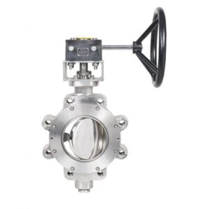 Double Offset Butterfly Valve