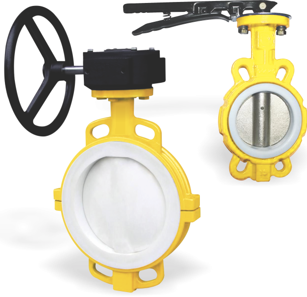 Butterfly Valve